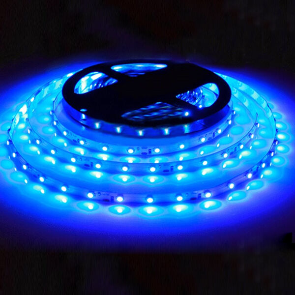 Blue Flexible 5M 300 Leds SMD 3528 Led Strip Lights Lamp Non-Waterproof DC 12V2A